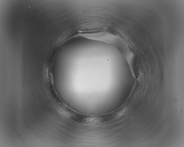 X0000071330117200607071642