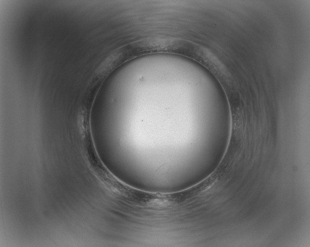 X0000071330119200607071642