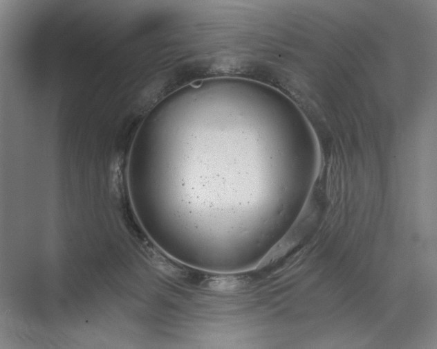 X0000071330127200607071642