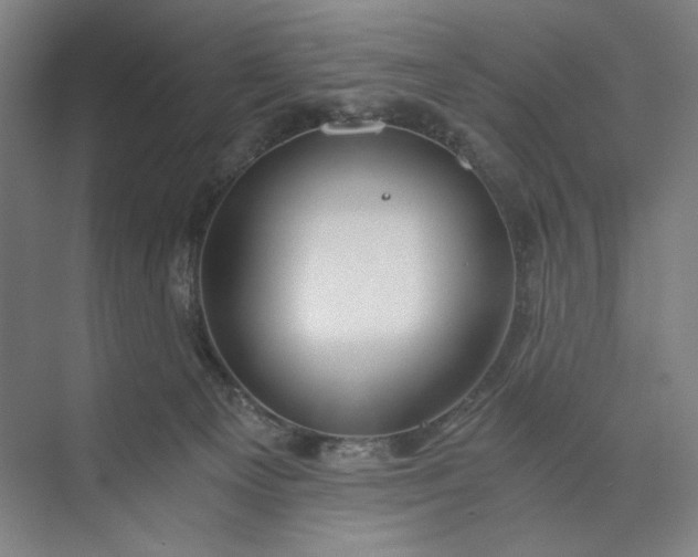 X0000071330129200607071642