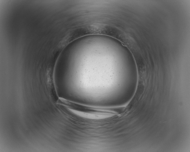 X0000071330131200607071642