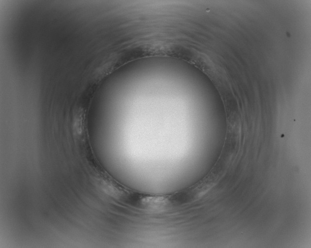 X0000071330133200607071642