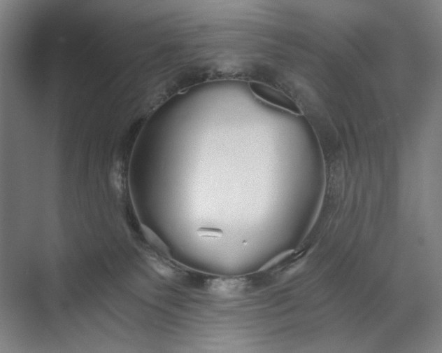 X0000071330135200607071642