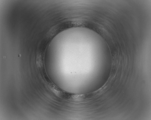 X0000071330136200607071642