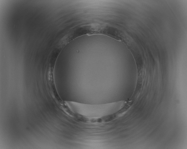 X0000071330137200607071642