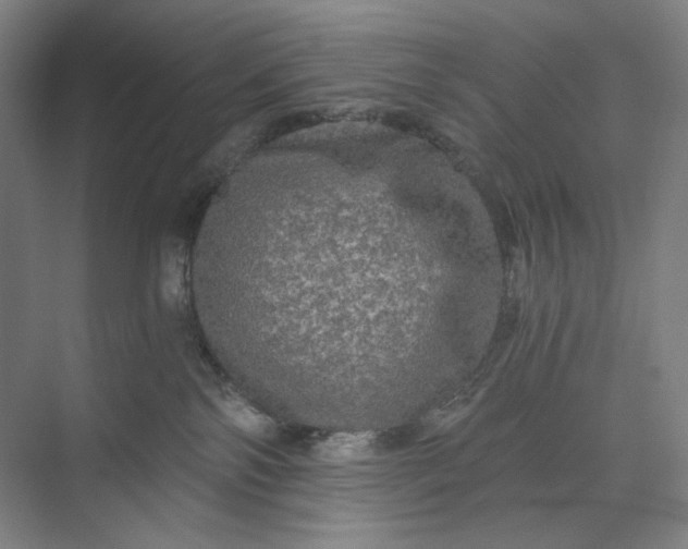 X0000071330138200607071642