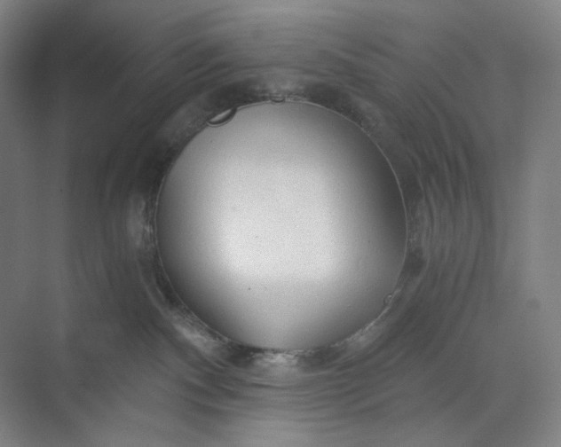 X0000071330140200607071642