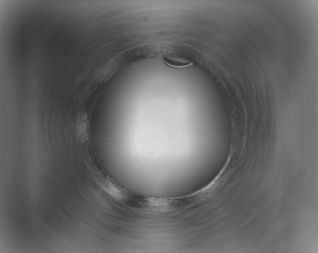 X0000071330144200607071642