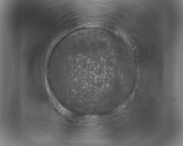 X0000071330145200607071641