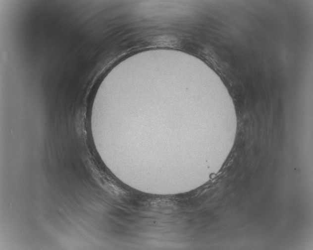 X0000071330146200607071641