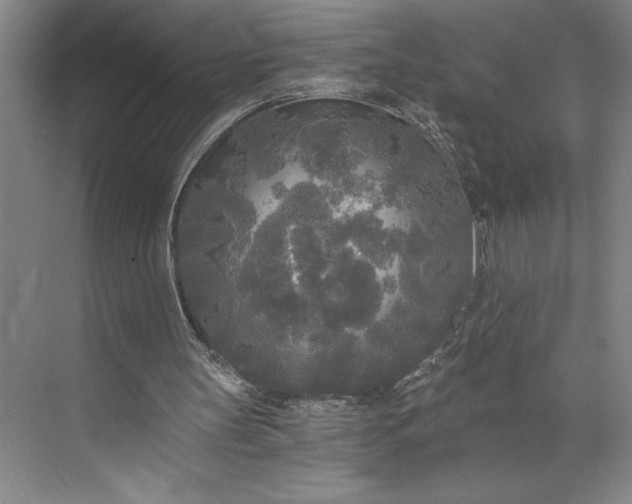 X0000071330147200607071641