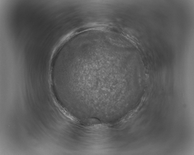 X0000071330149200607071641