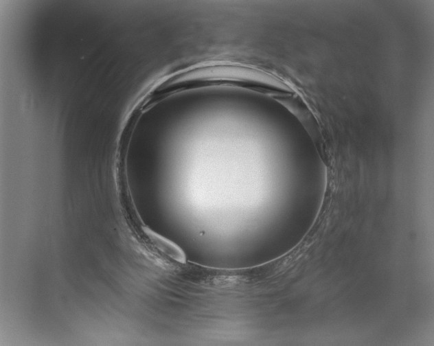 X0000071330152200607071641