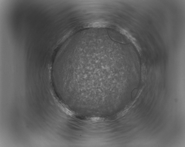 X0000071330153200607071641