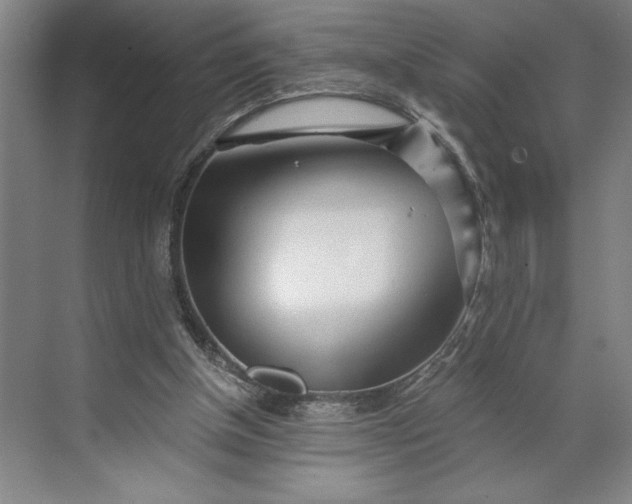 X0000071330154200607071641