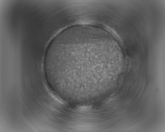 X0000071330155200607071641