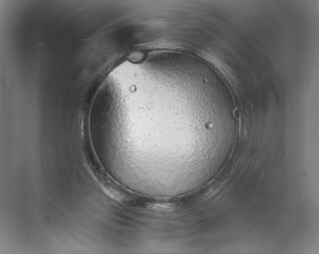 X0000071330157200607071641