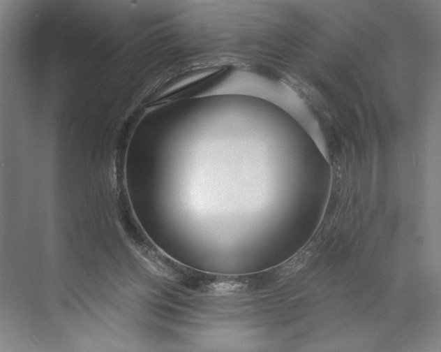 X0000071330158200607071641