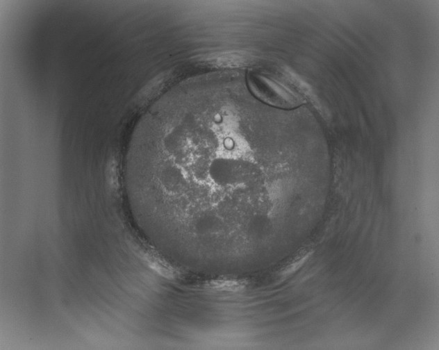 X0000071330161200607071641