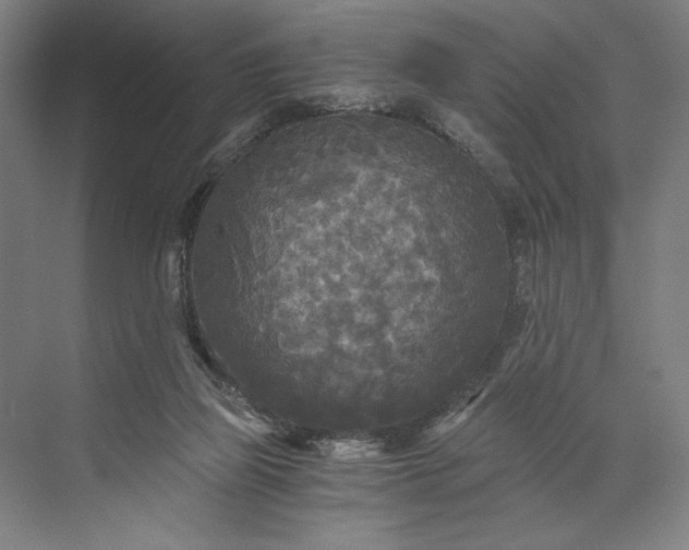 X0000071330165200607071641