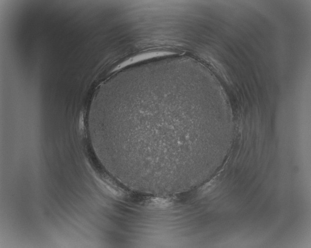 X0000071330166200607071641