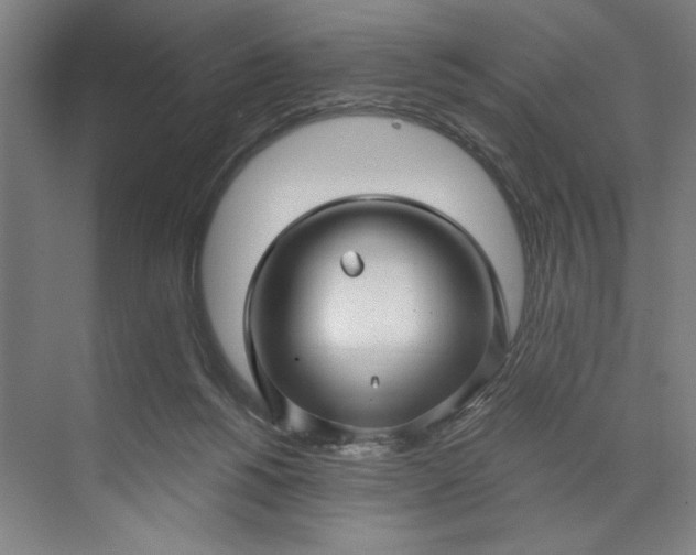 X0000071330168200607071641