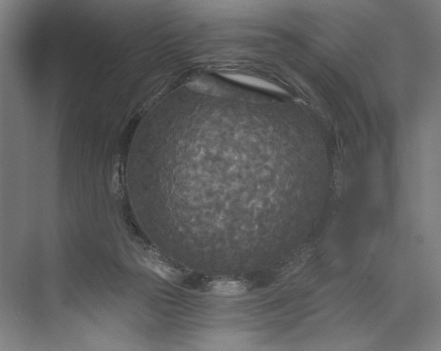 X0000071330169200607071641