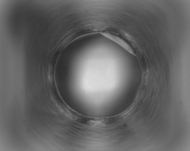 X0000071330170200607071641