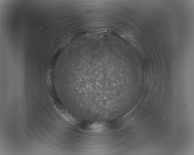 X0000071330171200607071641