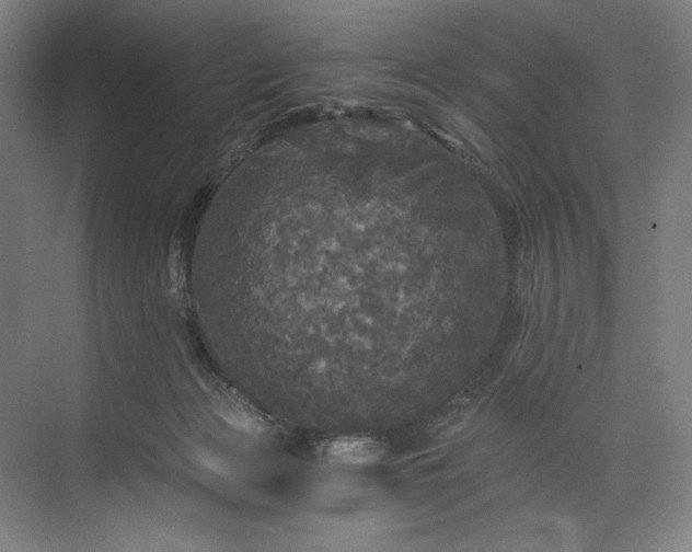 X0000071330173200607071641