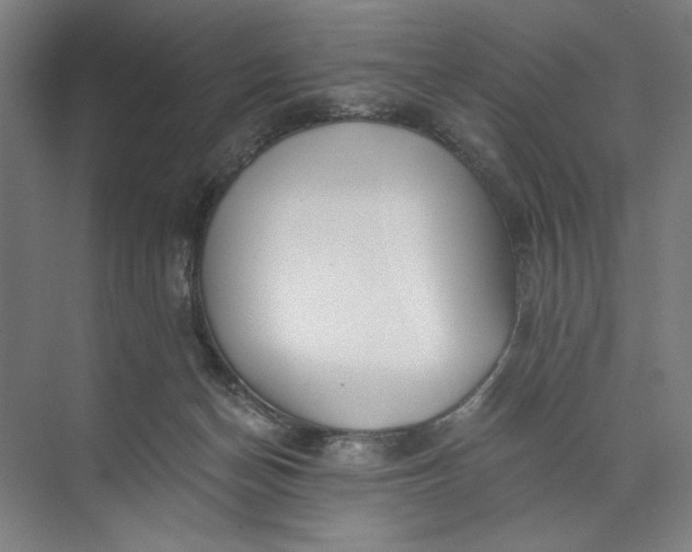 X0000071330174200607071641