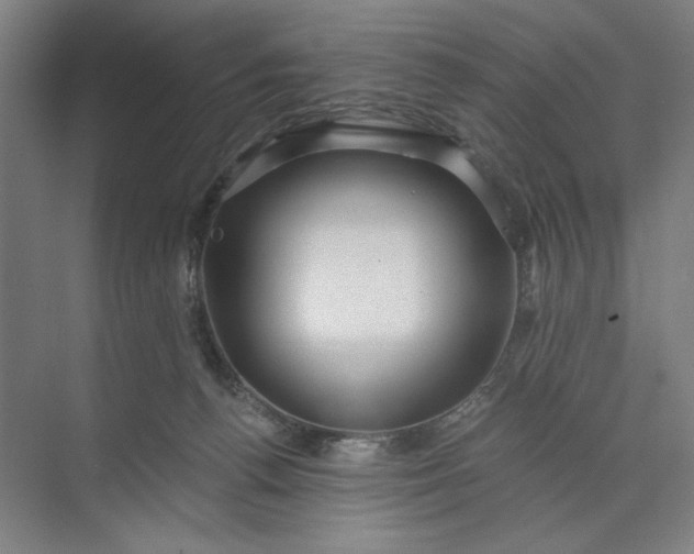 X0000071330176200607071641