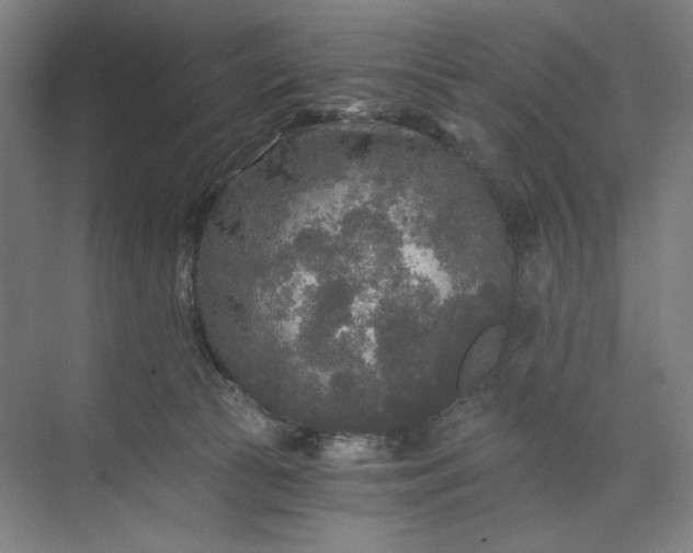 X0000071330177200607071642