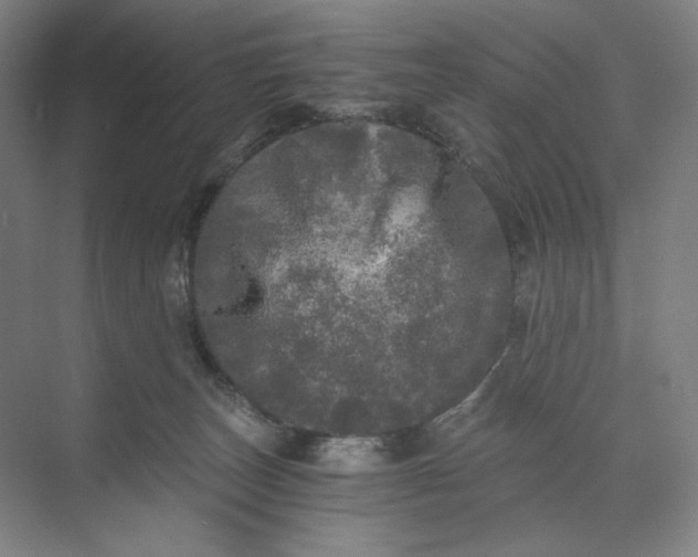 X0000071330179200607071642