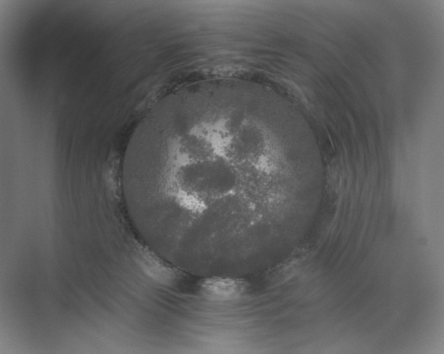 X0000071330181200607071642