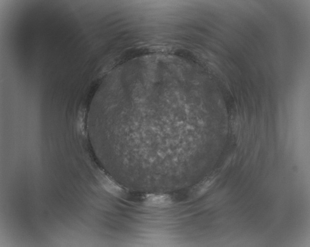 X0000071330185200607071642