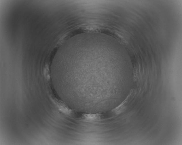 X0000071330187200607071642