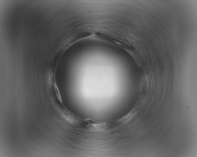 X0000071330188200607071642