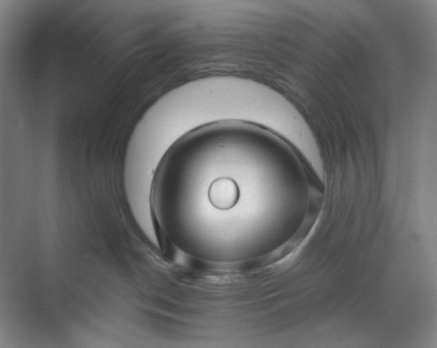 X0000071330190200607071642