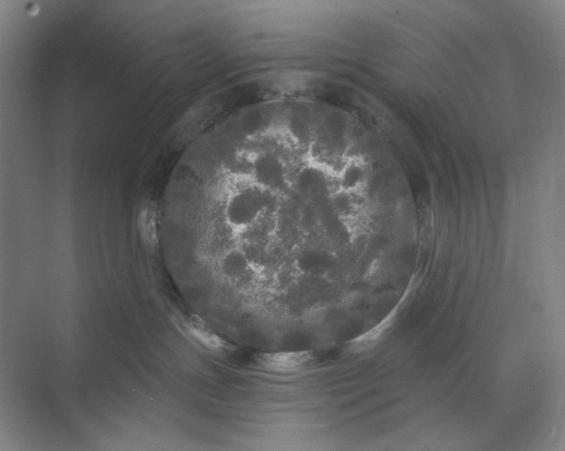 X0000071330191200607071642