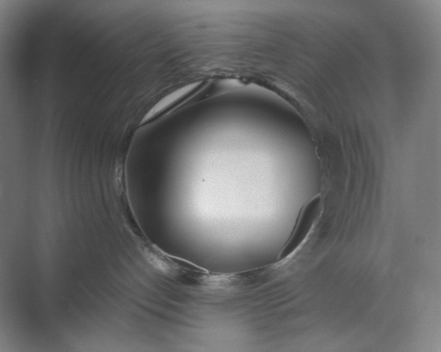 X0000071330192200607071642