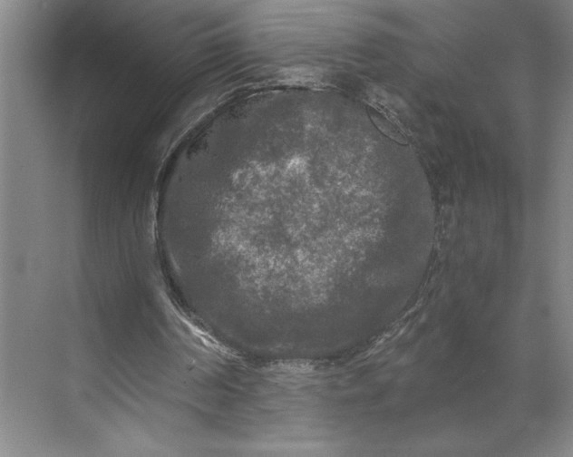 X0000071330194200607071641