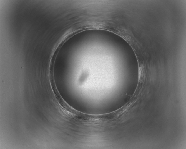 X0000071330195200607071641