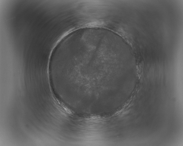 X0000071330196200607071641