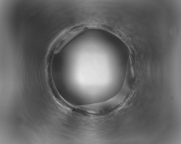 X0000071330197200607071641