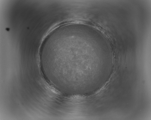 X0000071330198200607071641