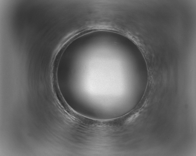 X0000071330199200607071641