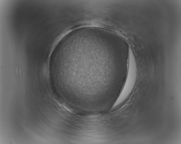 X0000071330200200607071641