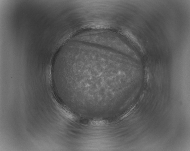 X0000071330202200607071641