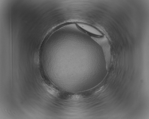 X0000071330204200607071641